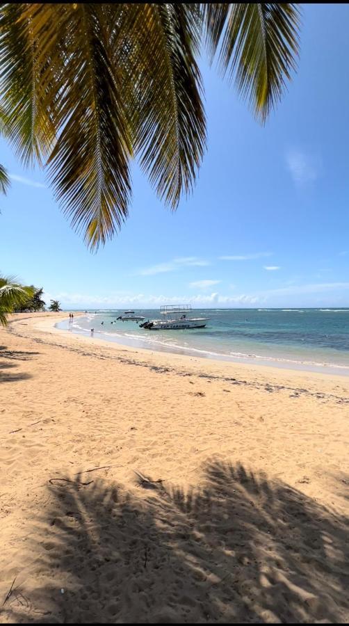 Lovely Beachfront 2 Bedrooms Condo With 2 Pools Las Terrenas Bagian luar foto